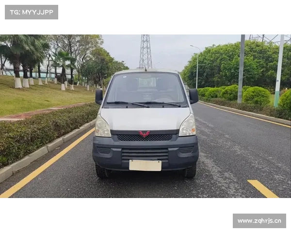 五菱一家独大,南骏跌幅最惨,上半年国内微卡市场数据解读 五菱一家独大,南骏跌幅最惨,上半年国内微卡市场数据解读